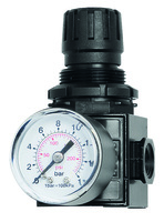 Regulator with pressure gauge 1/2 (F) BSP